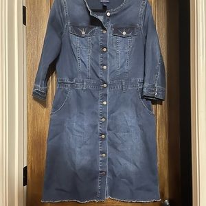 Blue Jean button up dress